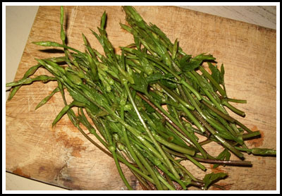 asparagi