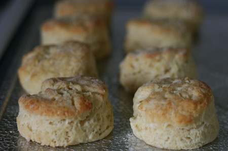 biscuits