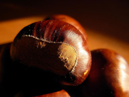 Ricette Castagne 2