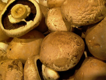 vellutata funghi