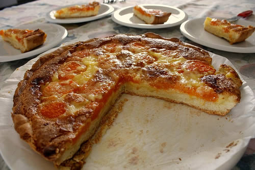 cotto e mangiato, ricetta delle torta alla marmellata