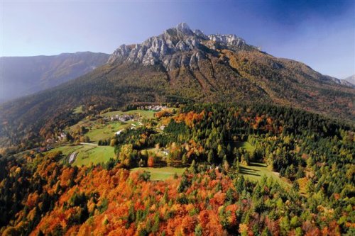 Gemme gusto sboccia primavera lungoStrade vino Trentino