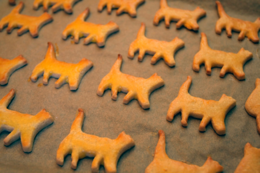 Martha Stewart donna mille risorse biscotti gatto halloween