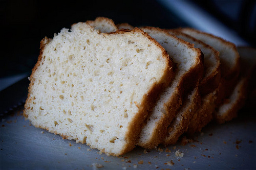 sara papa libro tutta bontà pane