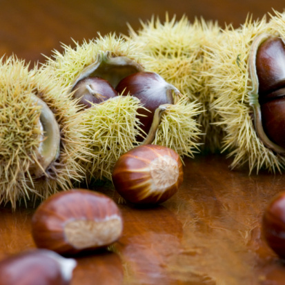 Torta castagne Benedetta Parodi