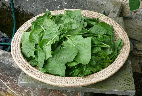 spinaci surgelati padella parmigiano