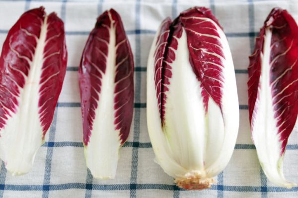 Radicchio