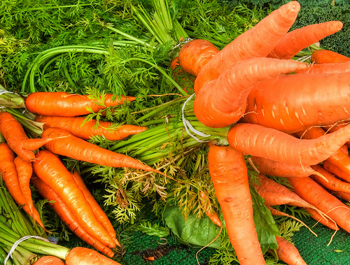 Flan di carote e cipollotti