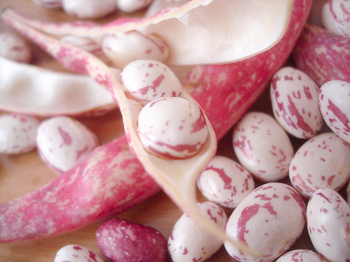 fagioli in insalata, facili, borlotti, fagioli