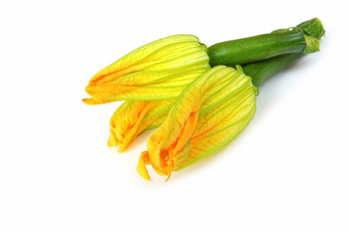 torta fiori di zucca