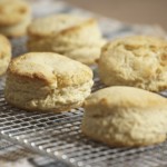 scones dolce facile veloce