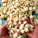 orecchiette crema pinoli Cotto Mangiato