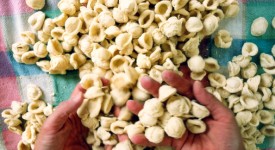 orecchiette crema pinoli Cotto Mangiato