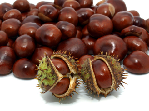 Castagne, proprietà e valori nutrizionali