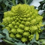 broccolo romanesco ripassato padella