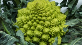 broccolo romanesco ripassato padella