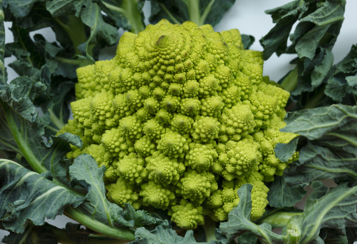 broccolo romanesco ripassato padella