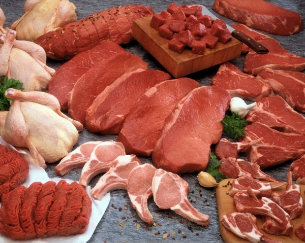 carne cavallo alimenti rischi salute