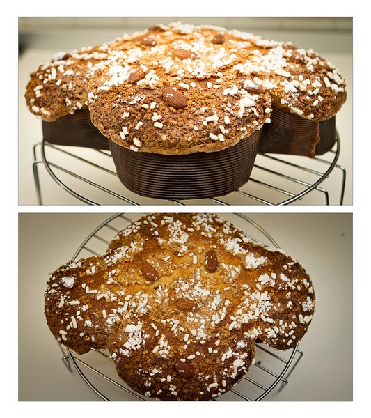 colomba pasquale fatta casa ricetta veloce