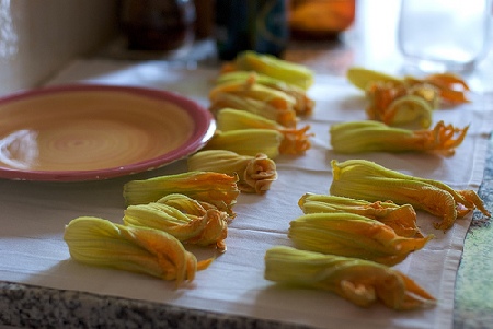 Fiori zucca ripieni ricotta forno