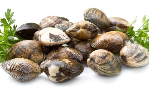 Vongole, carbonara, mare, Fusilli cavolfiore vongole Alessandro Borghese