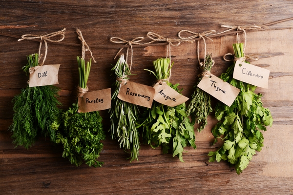erbe aromatiche