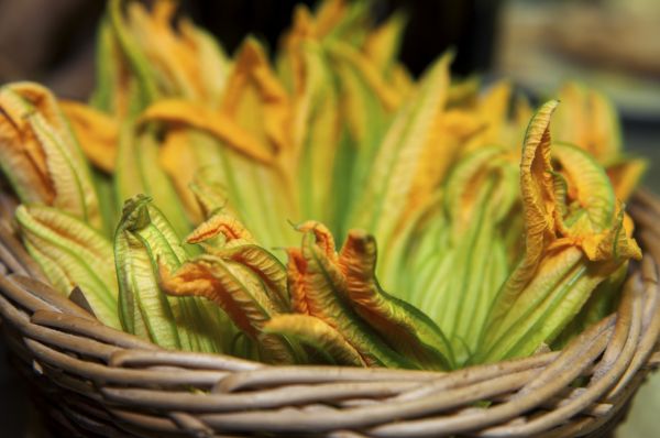 Pasta fiori zucca gamberettinricetta