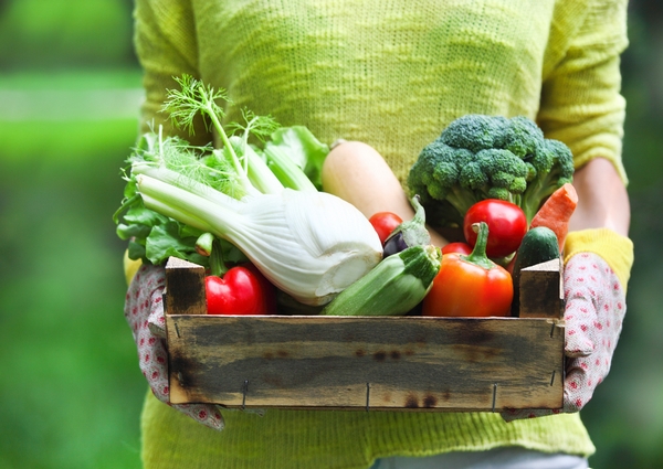 frutta e verdura di stagione