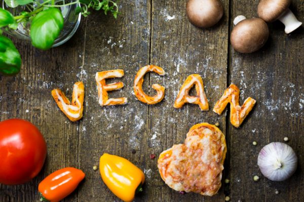 Vegan è Oltre primo Festival vegano Pavia 18 Ottobre