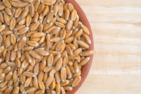 torta farro , farro, farro piccante, Insalata di farro, tonno e pesto di mandorle