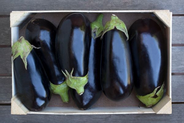 Melanzane con pomodori secchi e olive