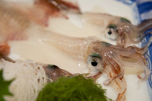 Insalata tiepida di seppie e limone