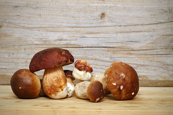 funghi, Funghi porcini fritti croccanti