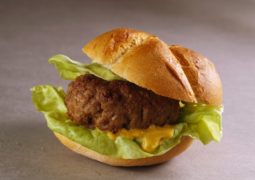 Hamburger, panino, Benedetta Parodi
