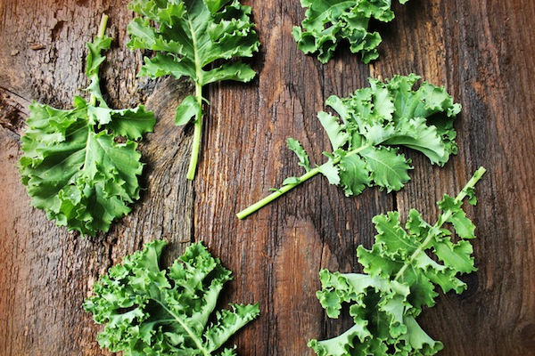 kale , cavolo riccio