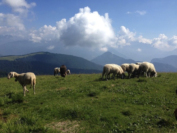 slow food , emilia romagna,