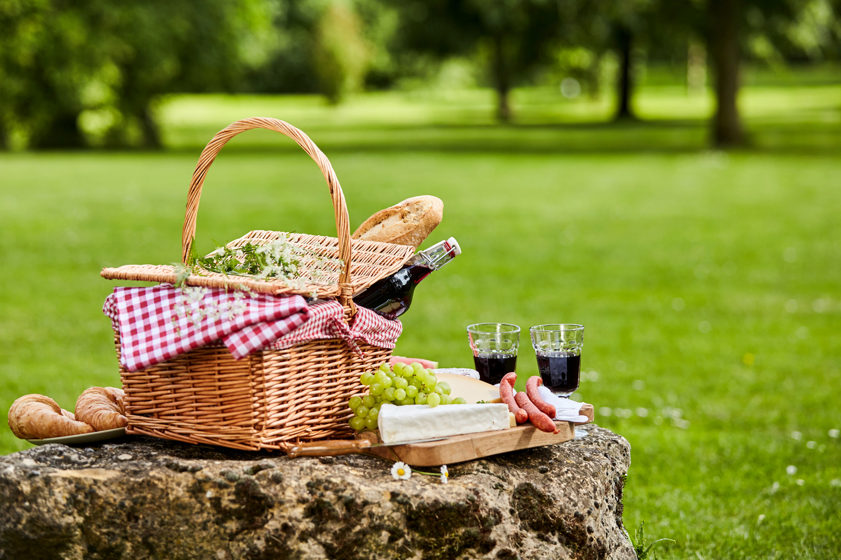 picnic primaverile