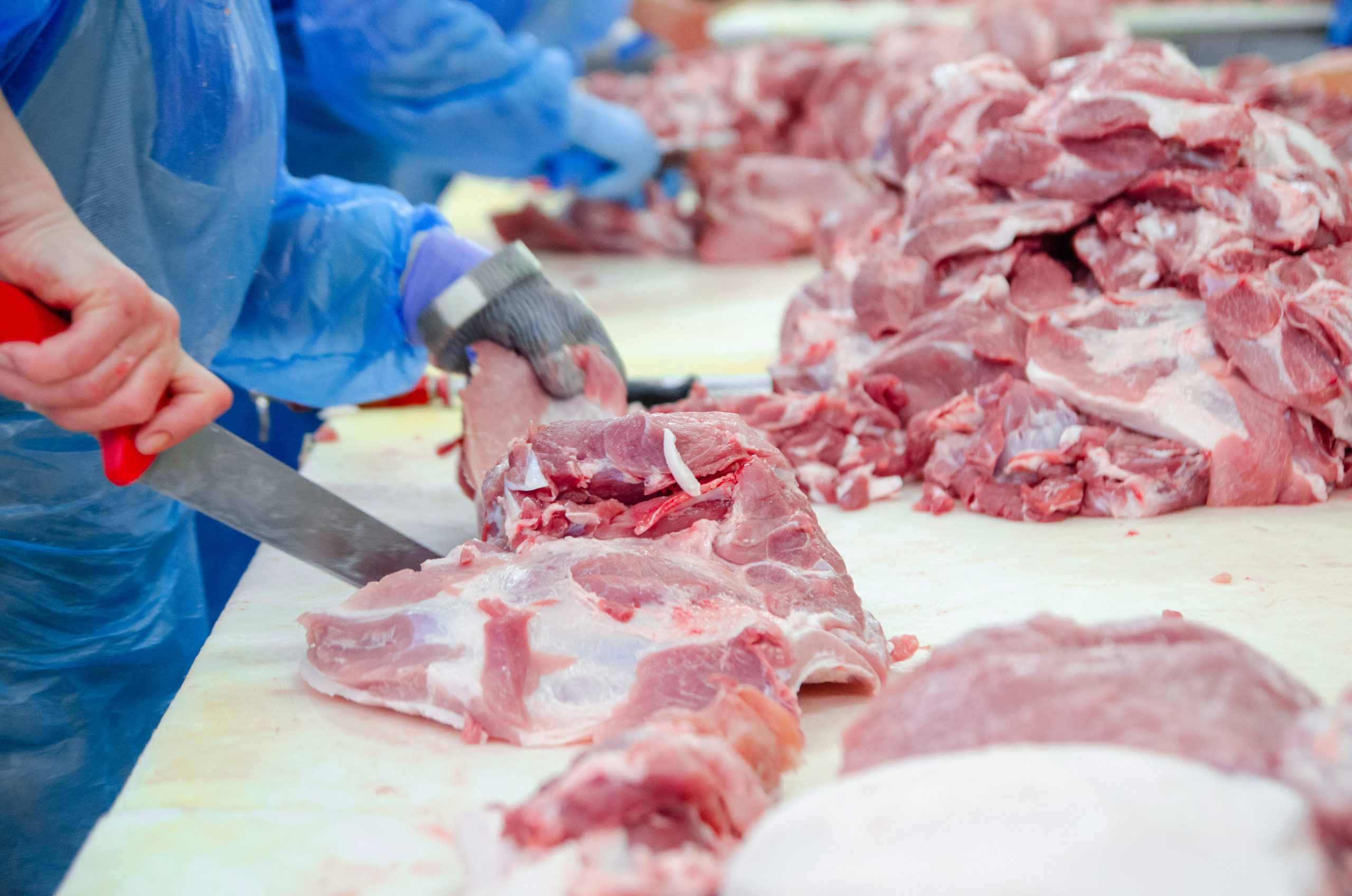 carne Halal