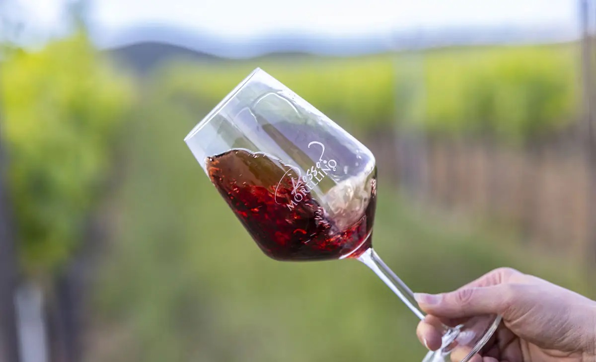 Morellino di Scansano