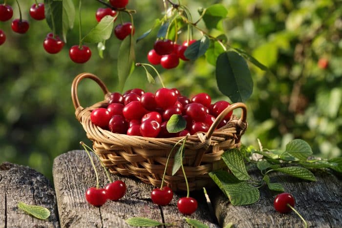 frutta di stagione a giugno